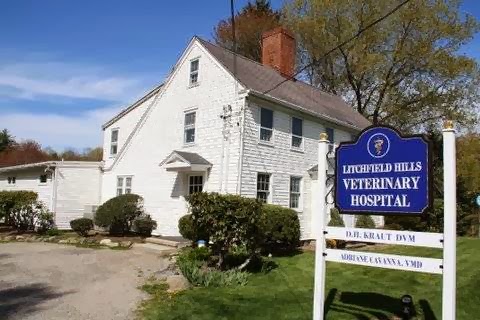 Litchfield Hills Veterinary Hospital - Harwinton , United States