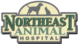Northeast Animal Hospital - Ridgeland , United States