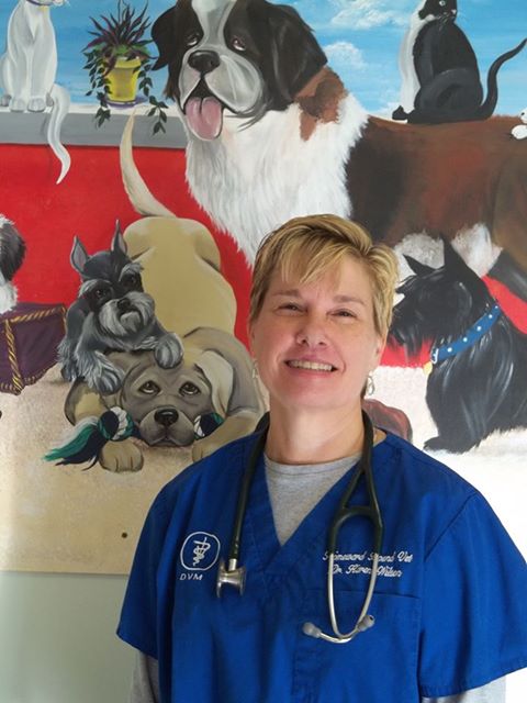 Homeward Bound Veterinary Services - Bellingham , United States