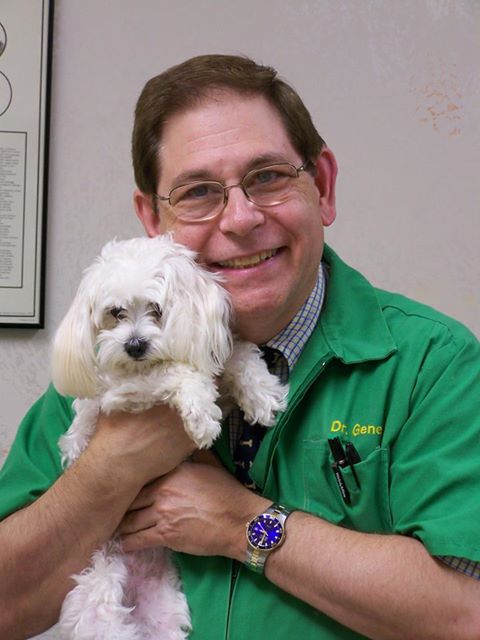 Genesee Valley Veterinary Hospital - Geneseo , United States