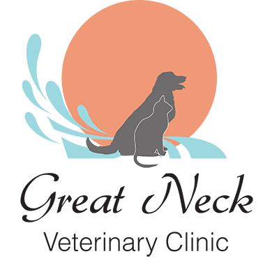Great Neck Veterinary Clinic - Virginia Beach , United States