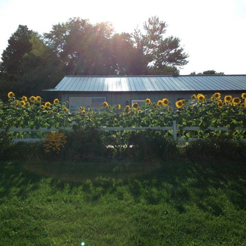 McNabb Veterinary - McNabb , United States