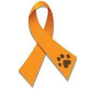 Springfield Veterinary Center - Glen Allen , United States