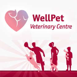 Animates Vetcare Clinic Paraparaumu - Paraparaumu , New Zealand