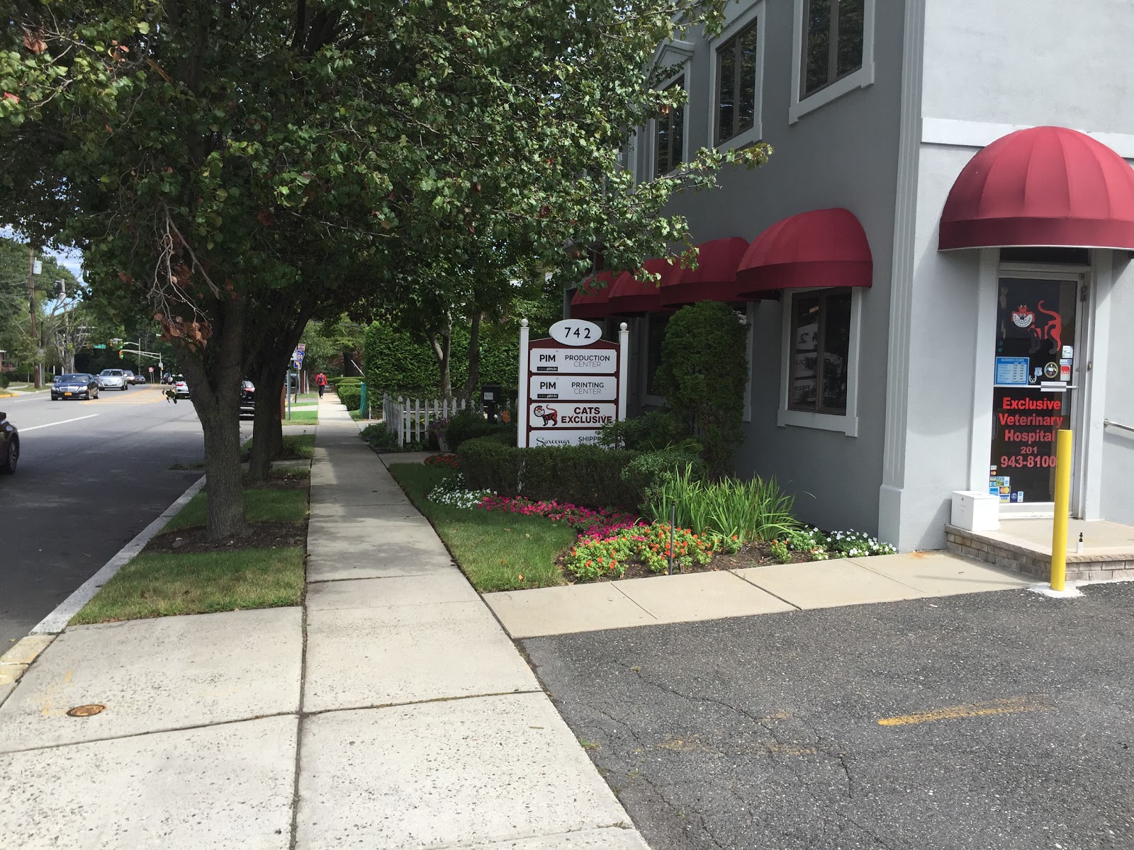 Cats Exclusive Veterinary Hospital - Ridgefield , United States