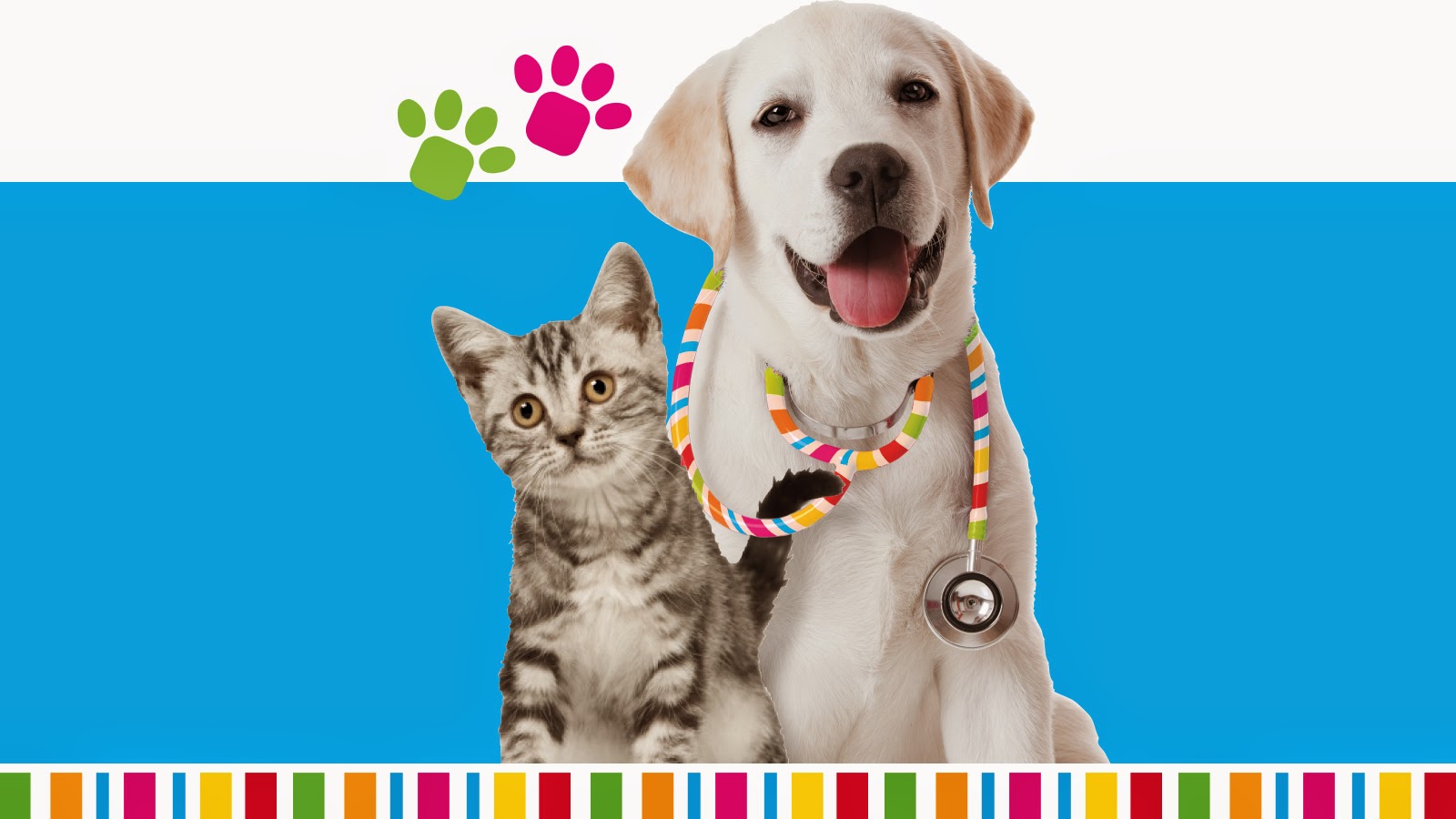 Petstock Vet Craigieburn - Craigieburn , Australia