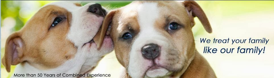 Bayside Veterinary Center - Bayside , United States
