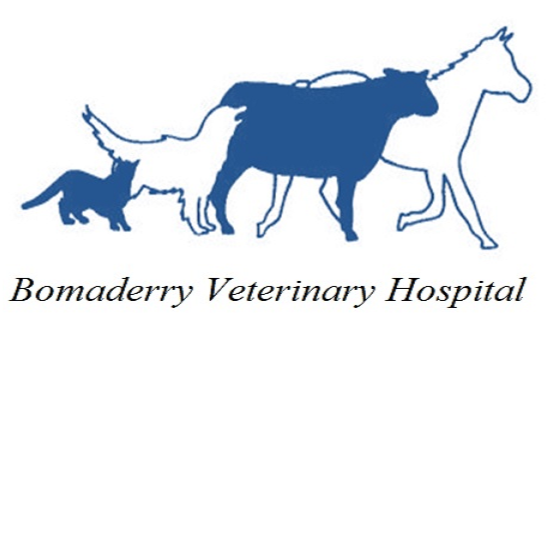Bomaderry Veterinary Hospital - Bomaderry , Australia