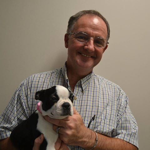 Highlands Animal Hospital - Lincoln , United States