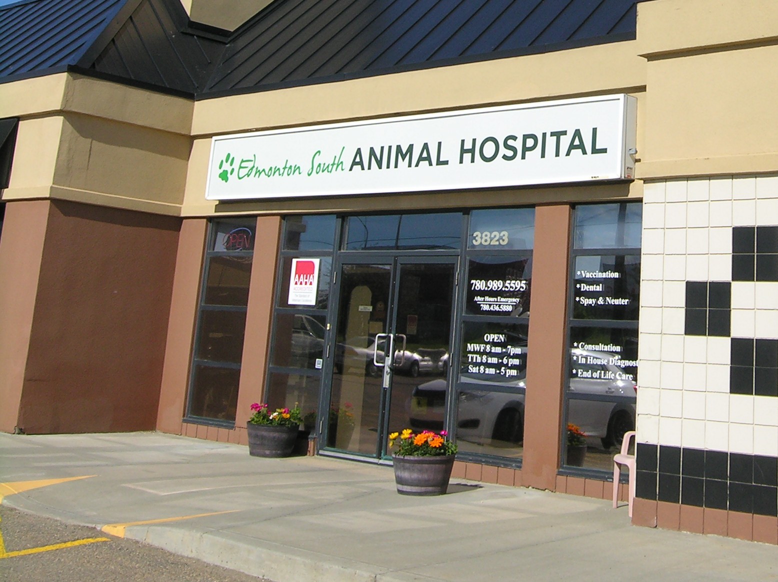 Edmonton Animal Hospital - Edmonton , Canada
