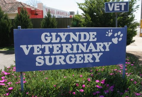 Glynde Veterinary Surgery - Glynde , Australia