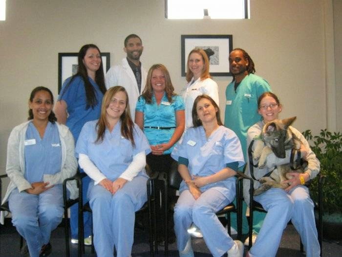 Vca Animal Care Center - Norfolk , United States