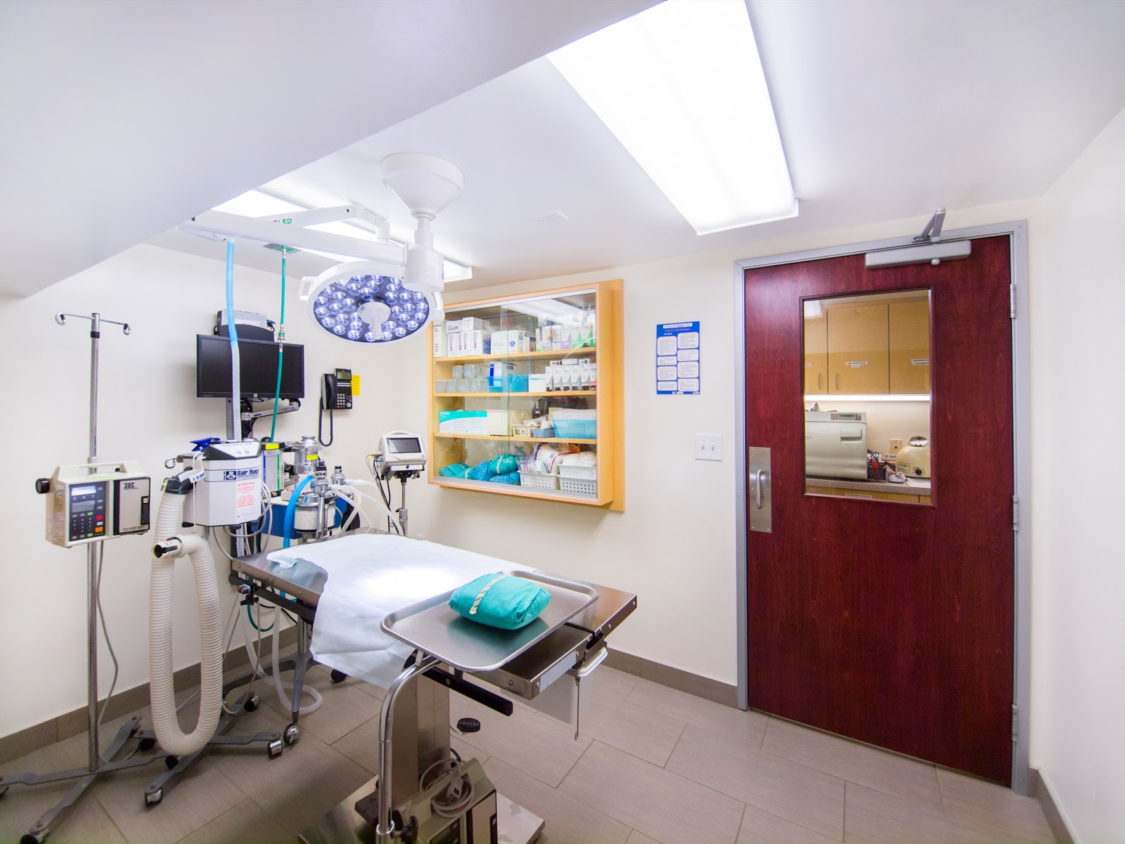 Vca Cat Hospital Of Philadelphia - Philadelphia , United States