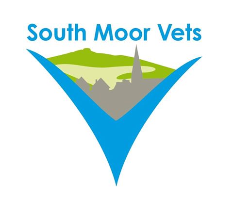 South Moor Vets - Ivybridge , United Kingdom