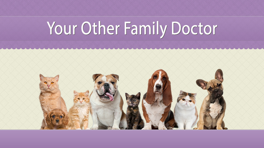 Forest Lane Animal Clinic - Garland , United States