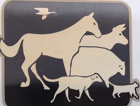 Swans Veterinary Services - Chadwick , Australia