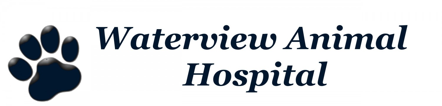 Waterview Animal Hospital - Miramichi , Canada