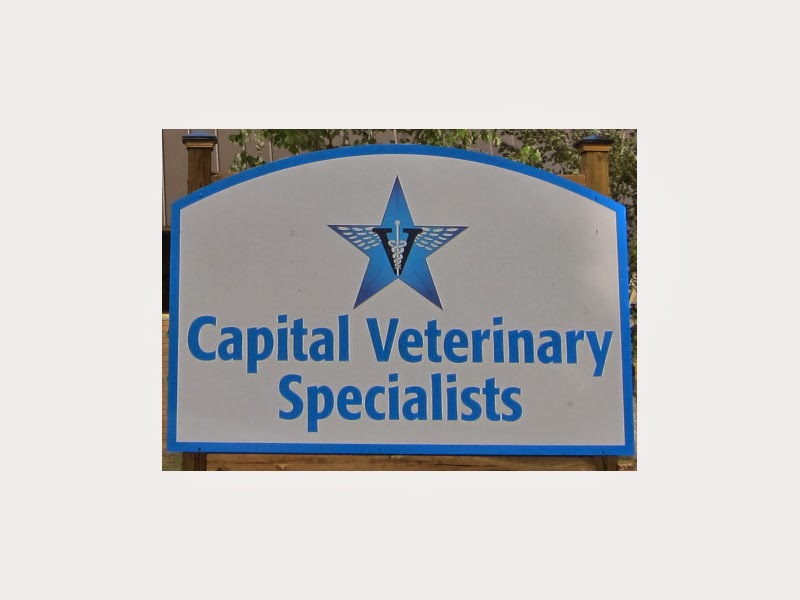 Capital Veterinary Specialists - Tallahassee , United States