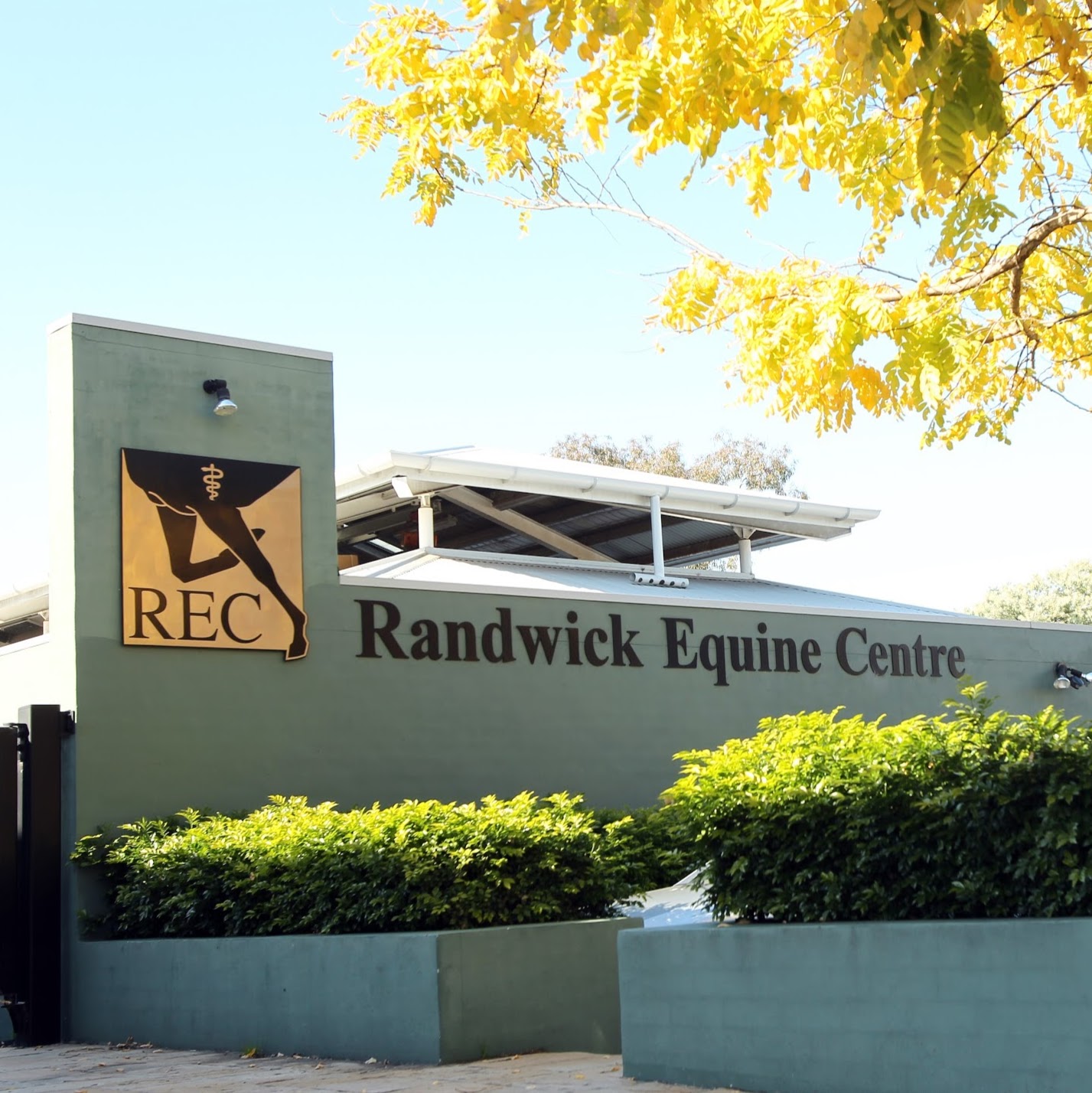 Rec Equine Specialists - Horsley Park , Australia