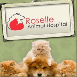 Roselle Animal Hospital - Roselle , United States