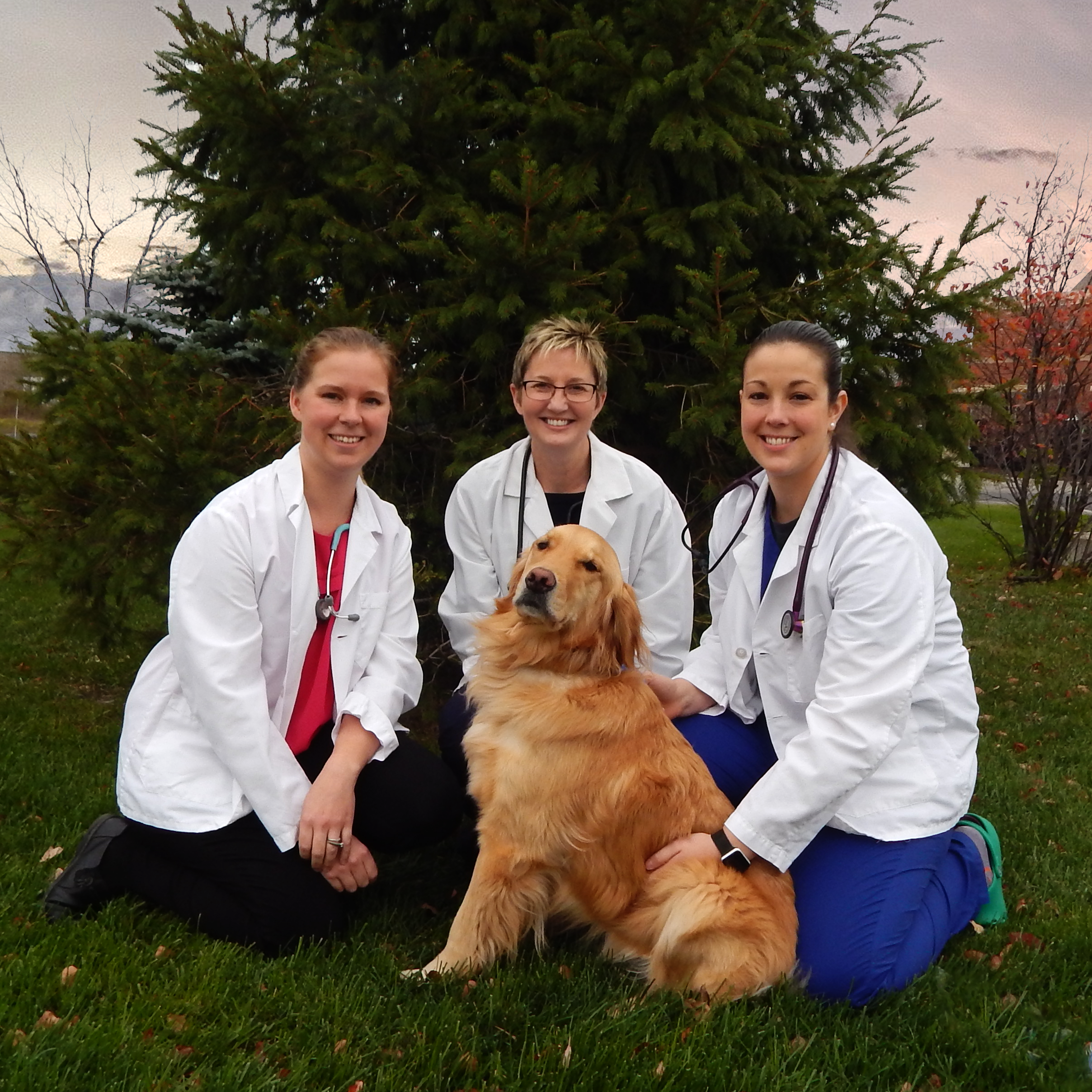 Greece Animal Hospital - Rochester , United States