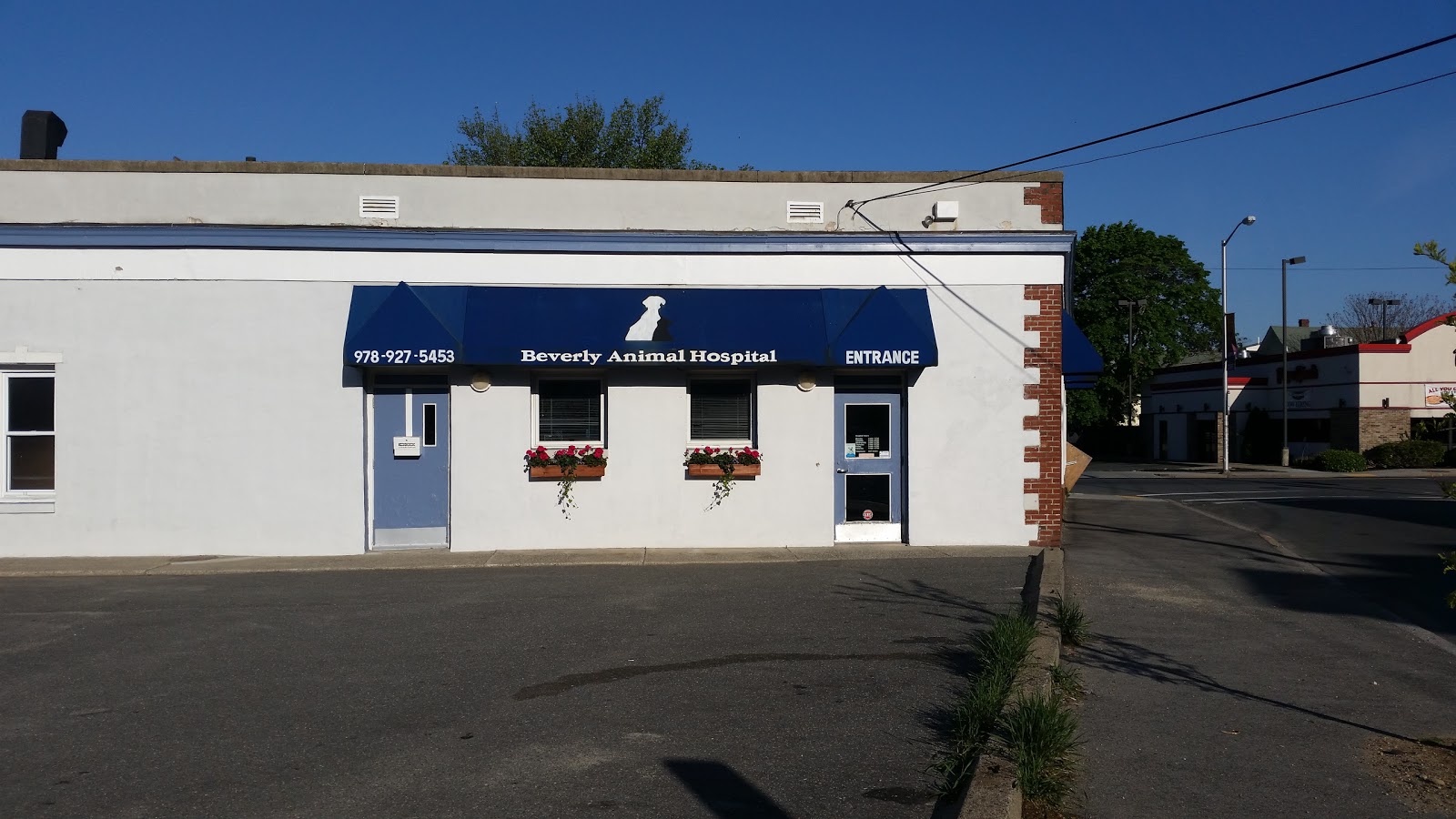 Beverly Animal Hospital - Beverly , United States