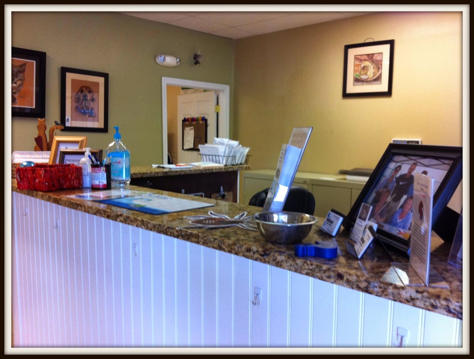 Manomet Animal Hospital - Plymouth , United States