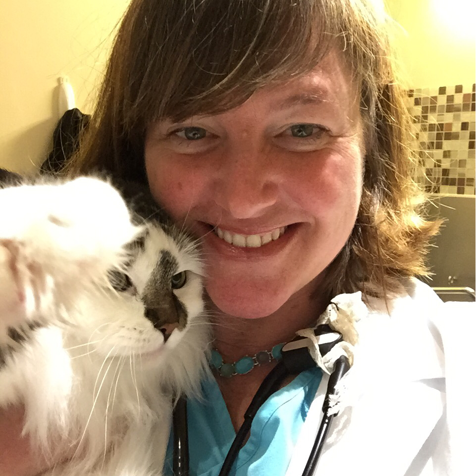 Happy Valley Veterinary Hospital - Happy Valley , United States