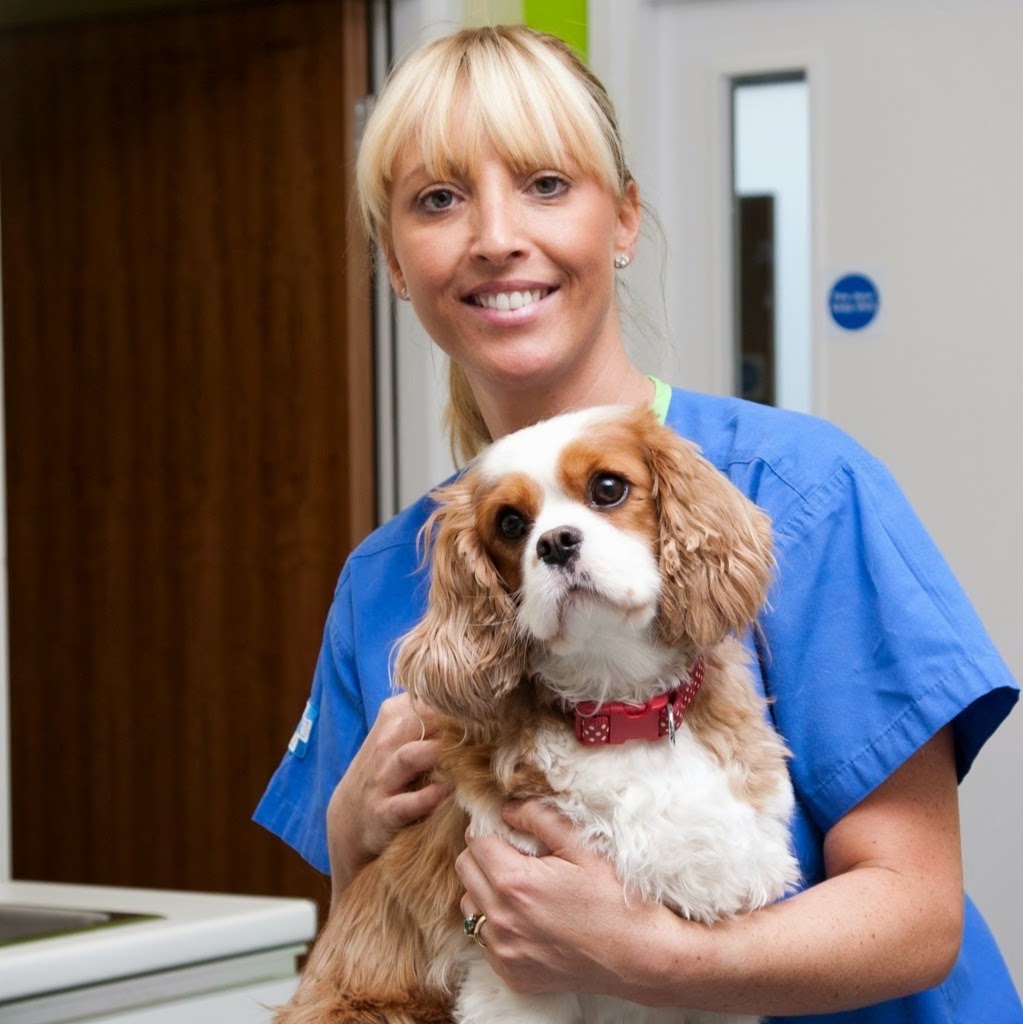 White Cross Vets - Redcar , United Kingdom