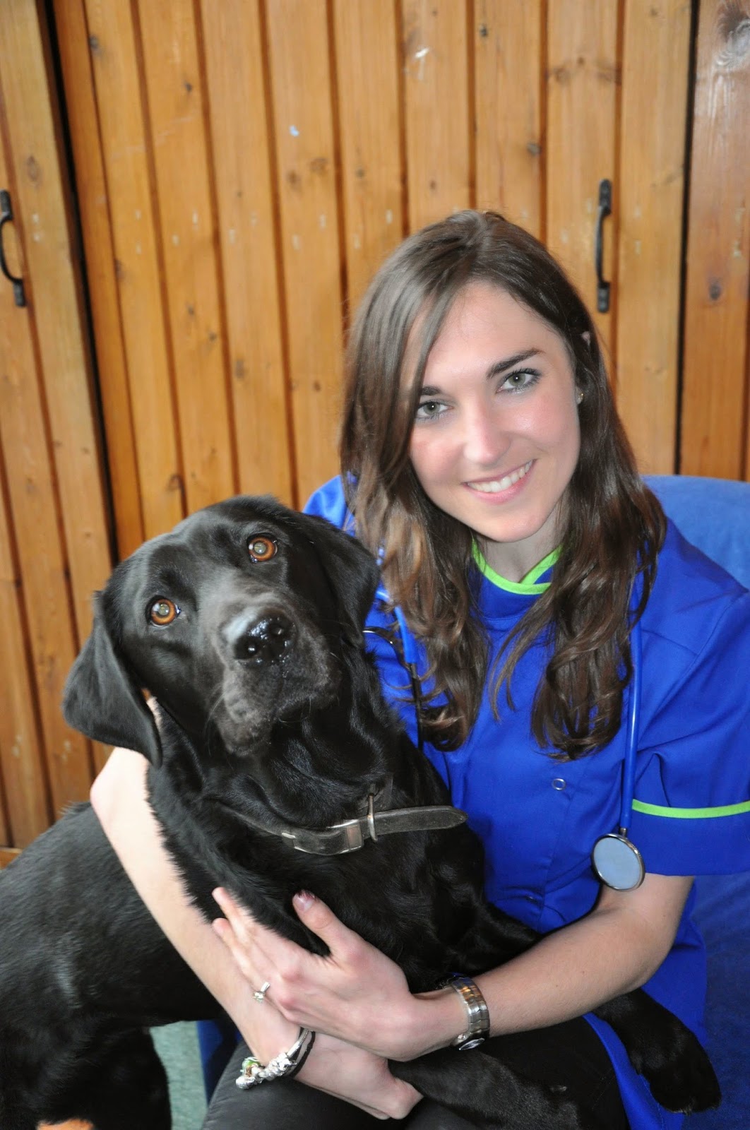 Liverpool Speke Vets4Pets - Liverpool , United Kingdom