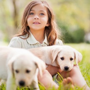Animal Medicine And Surgery Of Little Neck - Little Neck , United States