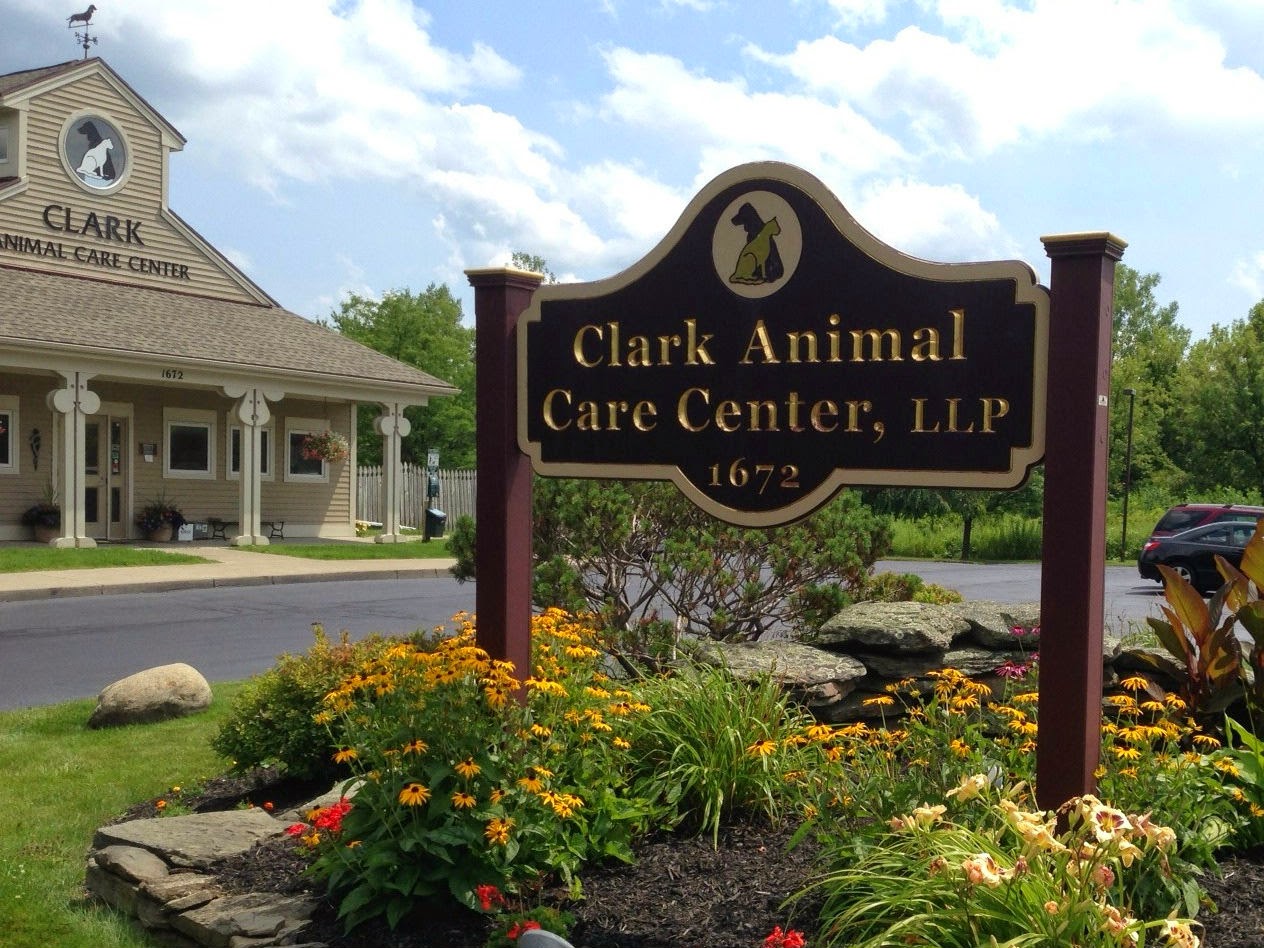 Clark Animal Care Center - Penfield , United States