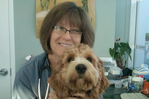 Fletcher's Creek Animal Hospital - Brampton , Canada