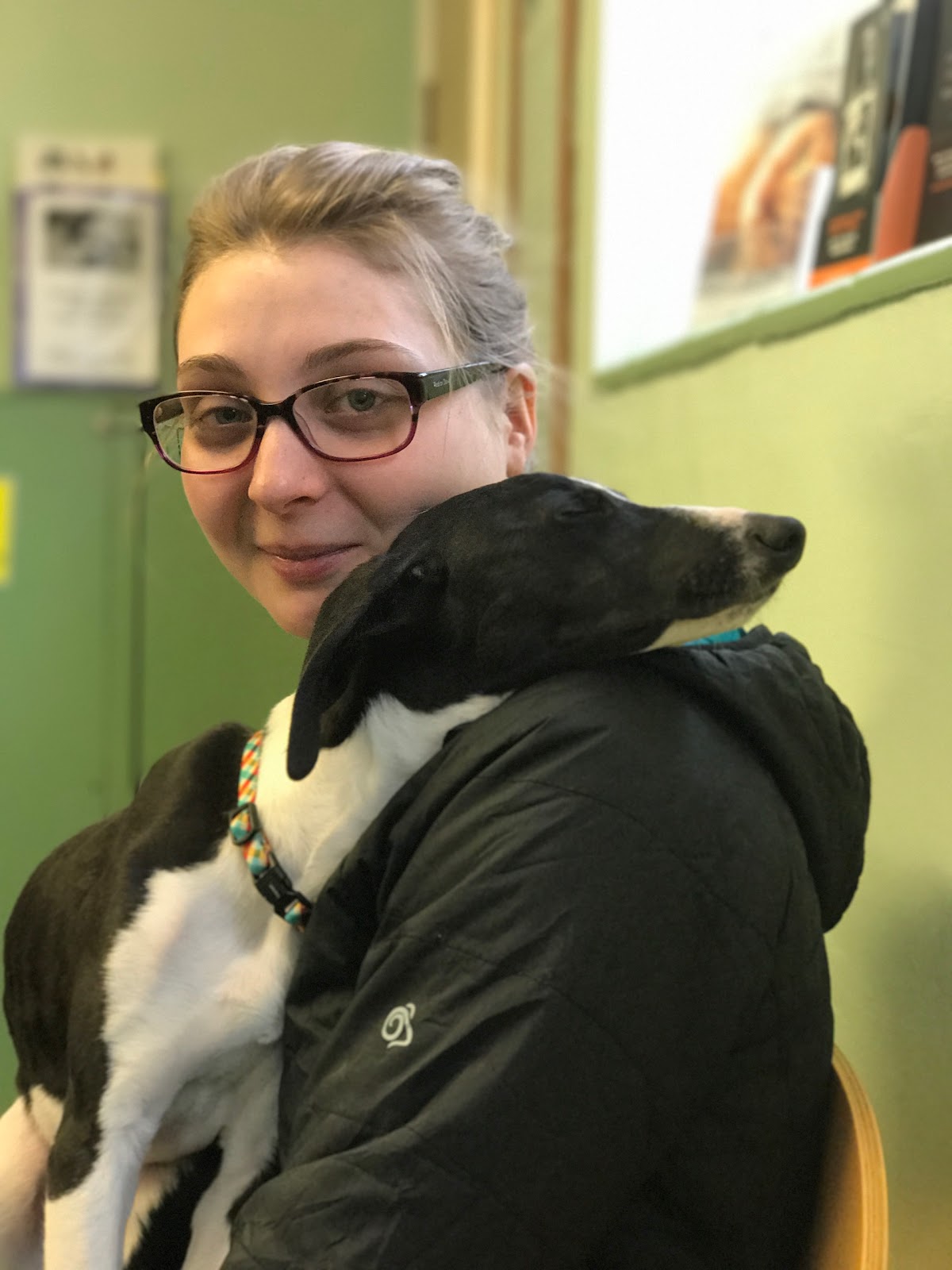 Medivet 24 Hour Alder - Liverpool , United Kingdom
