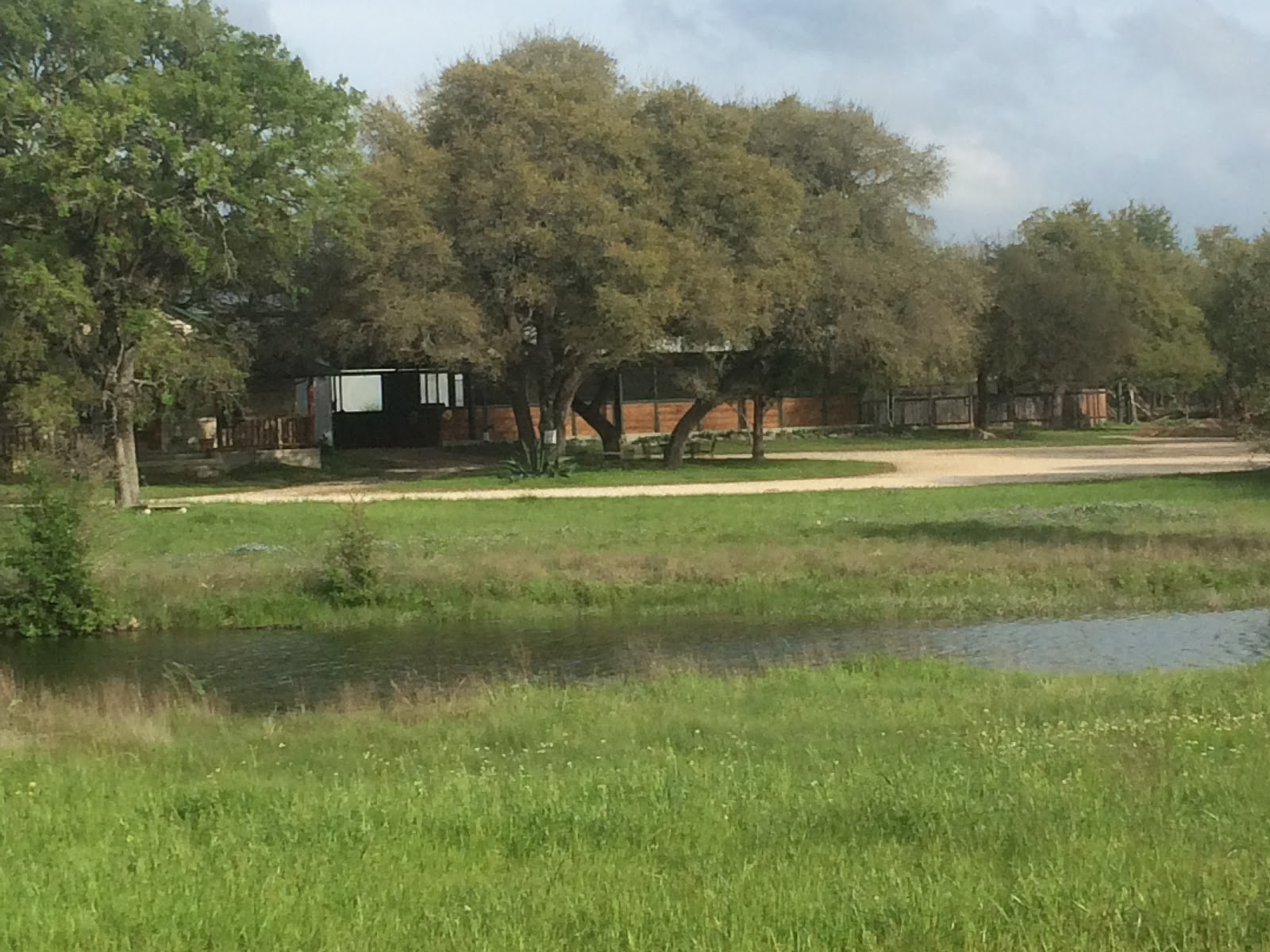 Live Oak Horse Veterinary Clinic Pc - Liberty Hill , United States