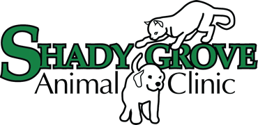 Shady Grove Animal Clinic - Glen Allen , United States