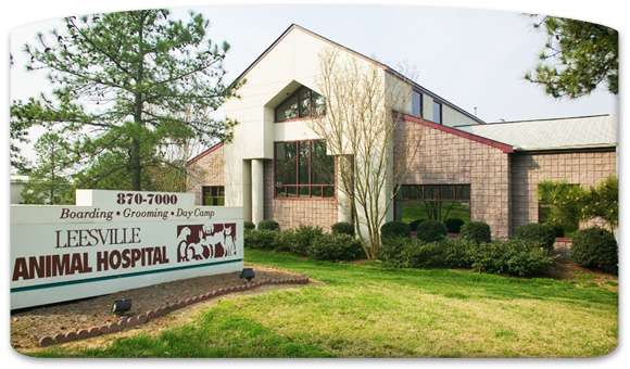 Leesville Animal Hospital - Raleigh , United States
