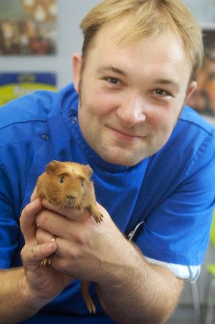 Vets4Pets Bournemouth - Bournemouth , United Kingdom