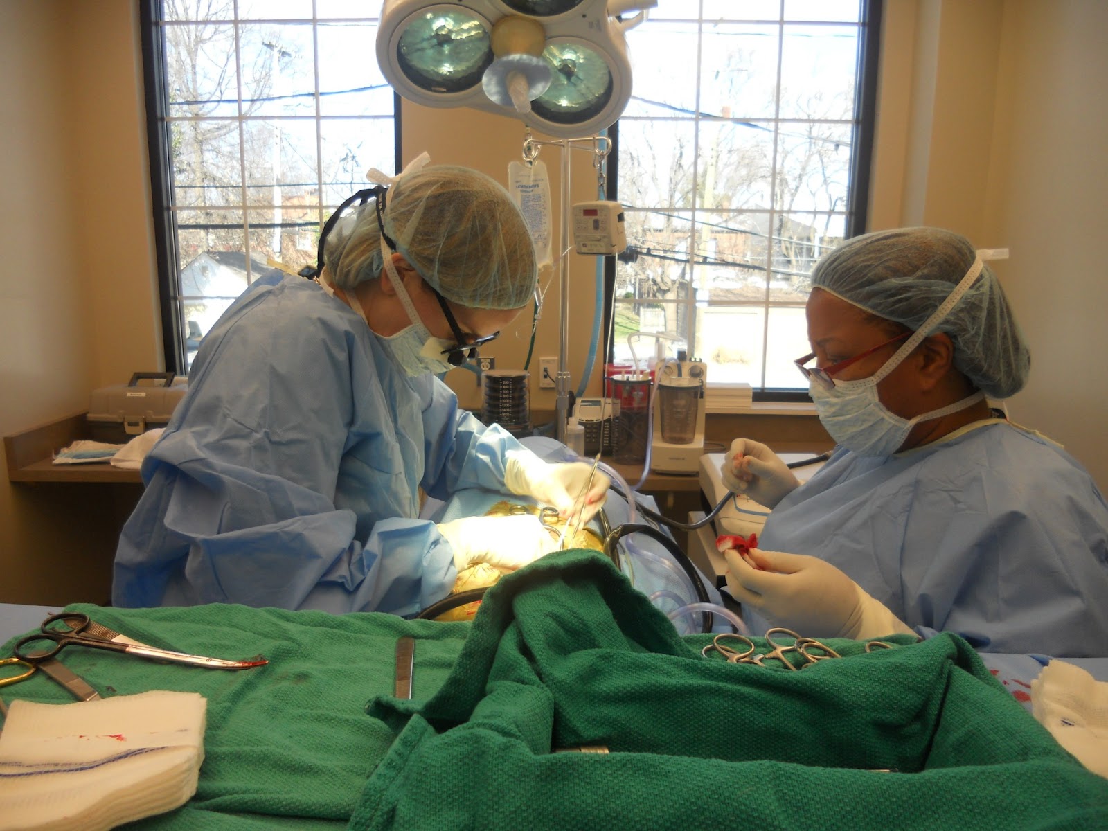 Virginia Veterinary Centers Midlothian - Midlothian , United States