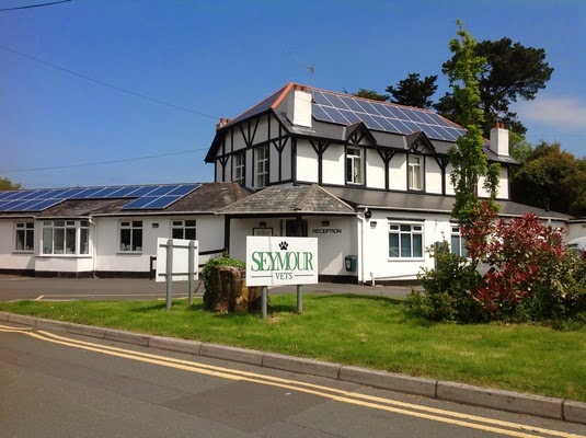 Seymour Vets Totnes - Totnes , United Kingdom