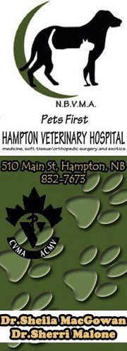 Hampton Veterinary Hospital - Hampton , Canada