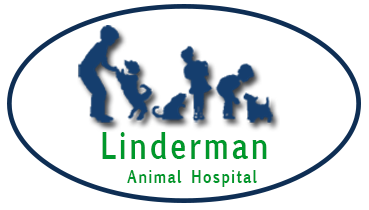 Linderman Animal Hospital - Brownsboro , United States