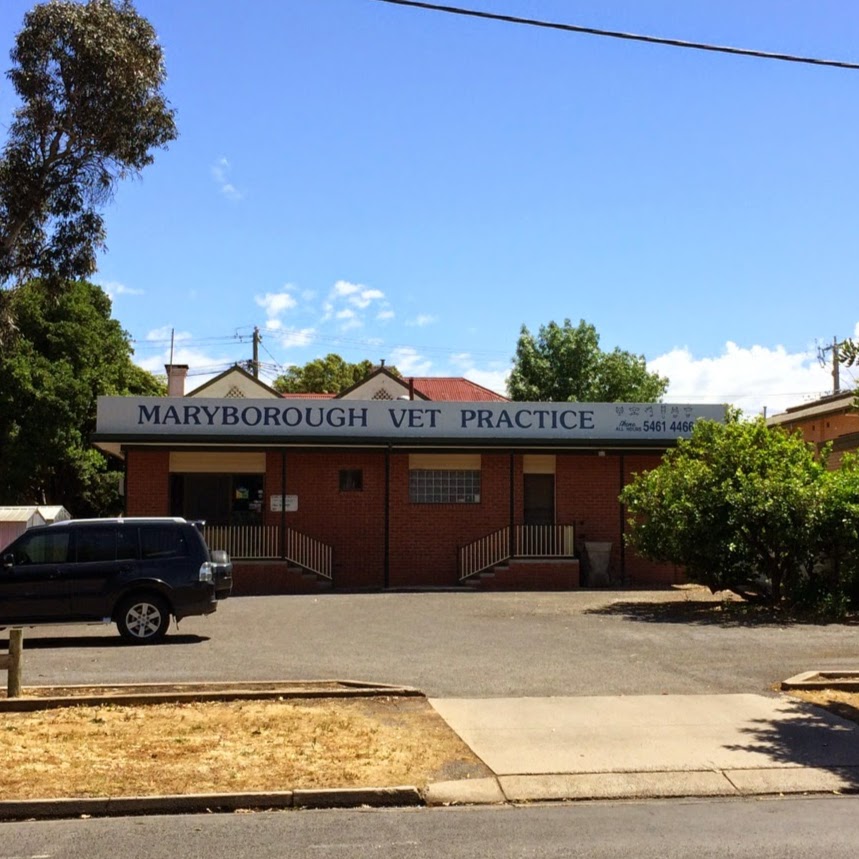 Maryborough Veterinary Practice - Maryborough , Australia