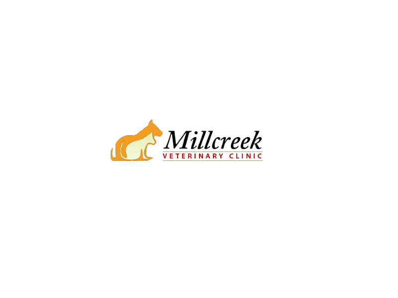 Millcreek Veterinary Clinic Mississauga - Mississauga , Canada