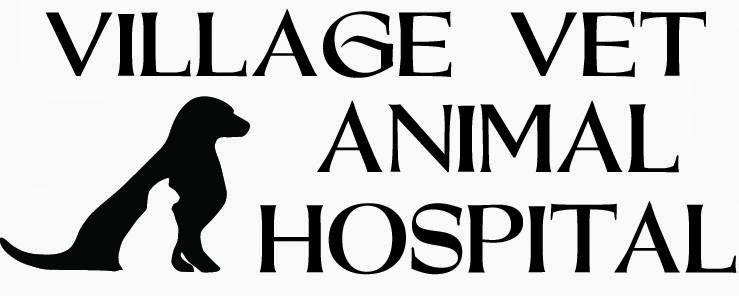 Village Vet Animal Hospital - Clemmons , United States