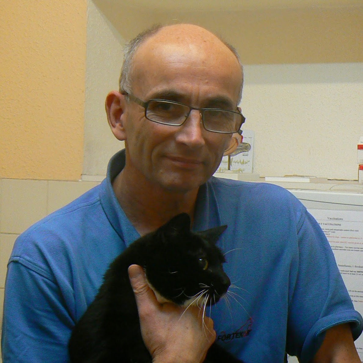 Broadleys Veterinary Clinic - Dunblane , United Kingdom