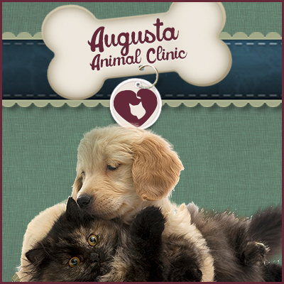 Augusta Animal Clinic - Indianapolis , United States