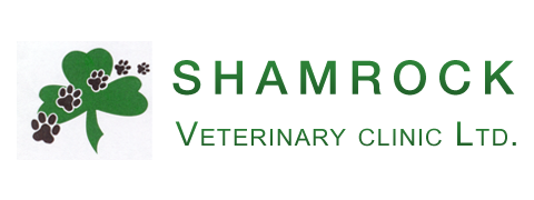 Vca Canada Shamrock Animal Hospital - Comox , Canada