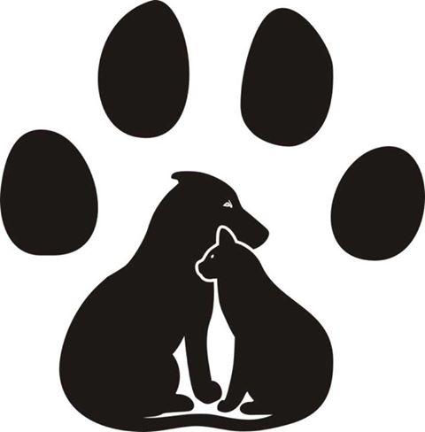 Avon Veterinary Clinic - Avon , United States