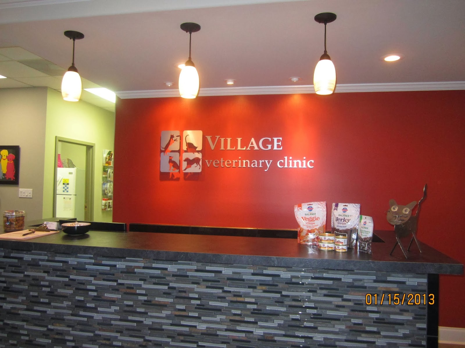 Village Veterinary Clinic - Athens , United States